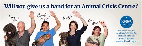 charity specialist marketing agency